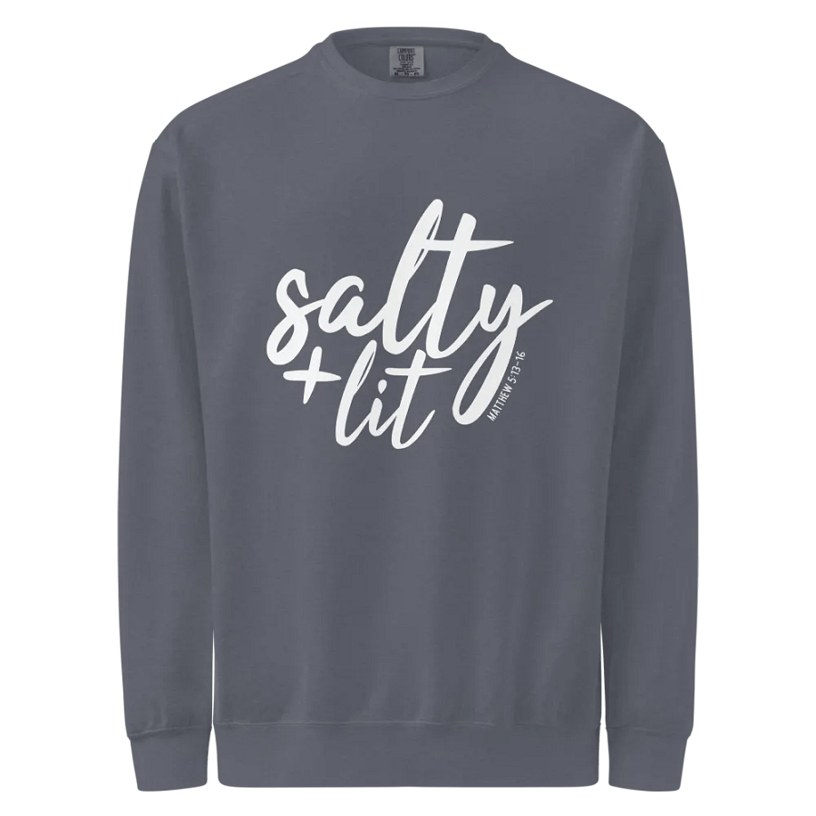 salty + lit crewneck product image (2)