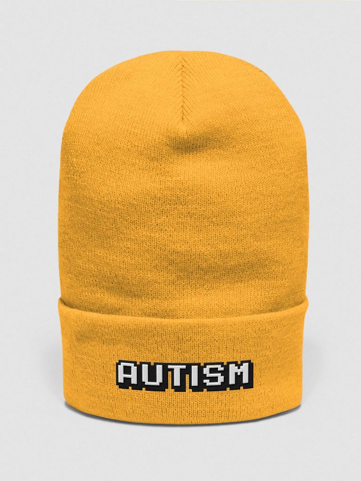 Autism (Hat) product image (1)