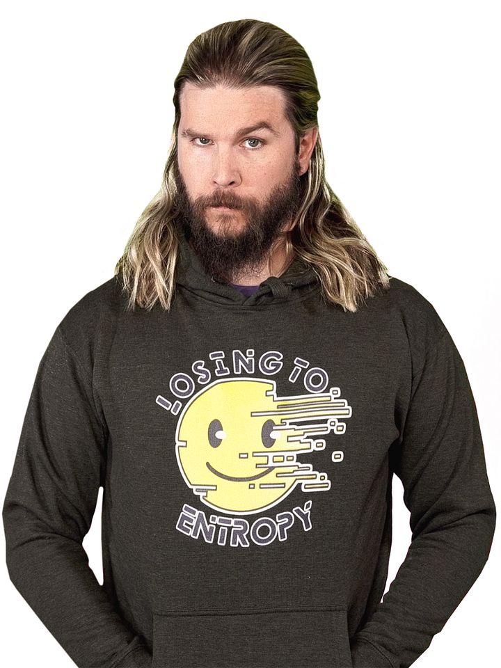 Losing To Entropy Hoodie product image (2)