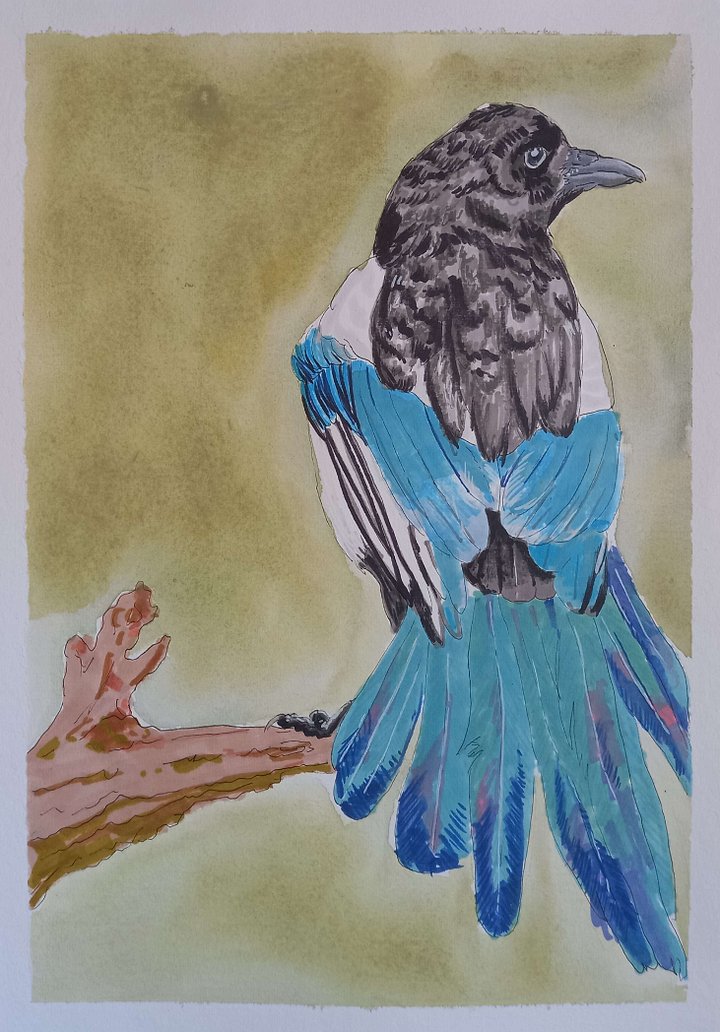 Original Art Series: Corvids [03] Magpie product image (1)