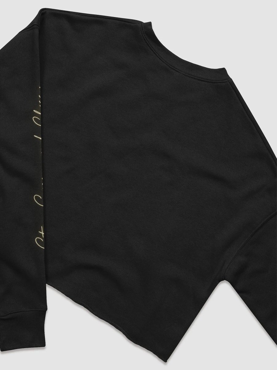 Alpha Crop Top! product image (4)
