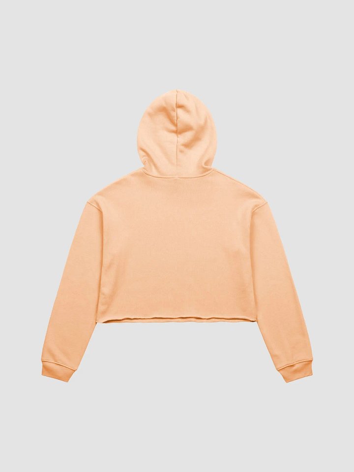 TM Crop Hoodie product image (2)