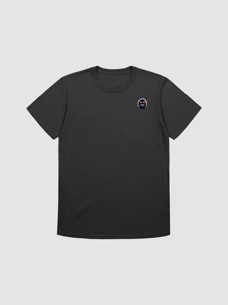 SPiiCY t-shirt product image (1)