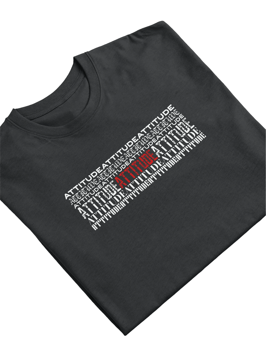 Attitude: Austin Heavyweight Tee product image (5)