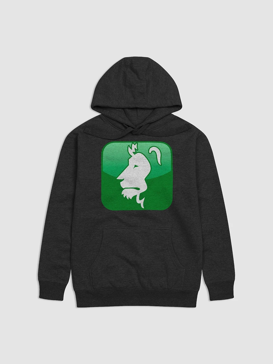 Copy of ARIES Hoodie product image (7)