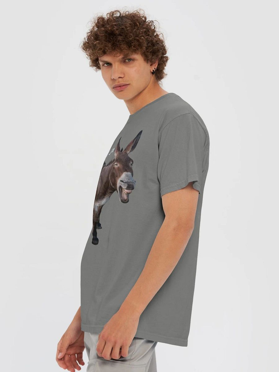 Don't Be An Ass product image (6)
