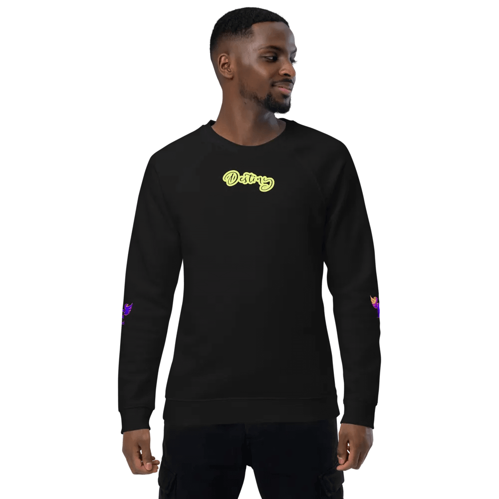 Destiny: Sweater product image (2)