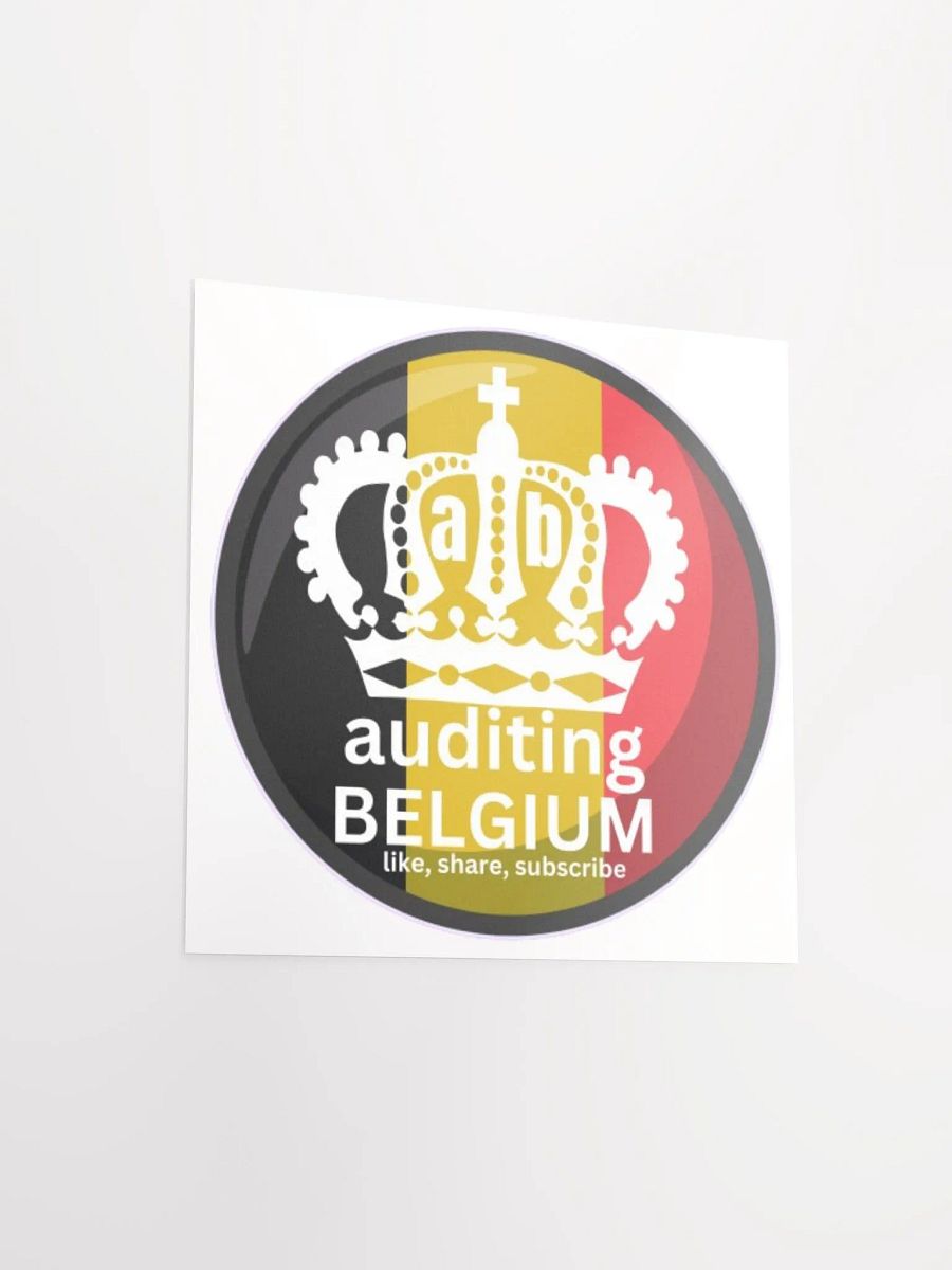 AUDITING BELGIUM product image (3)