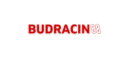 Budracin88