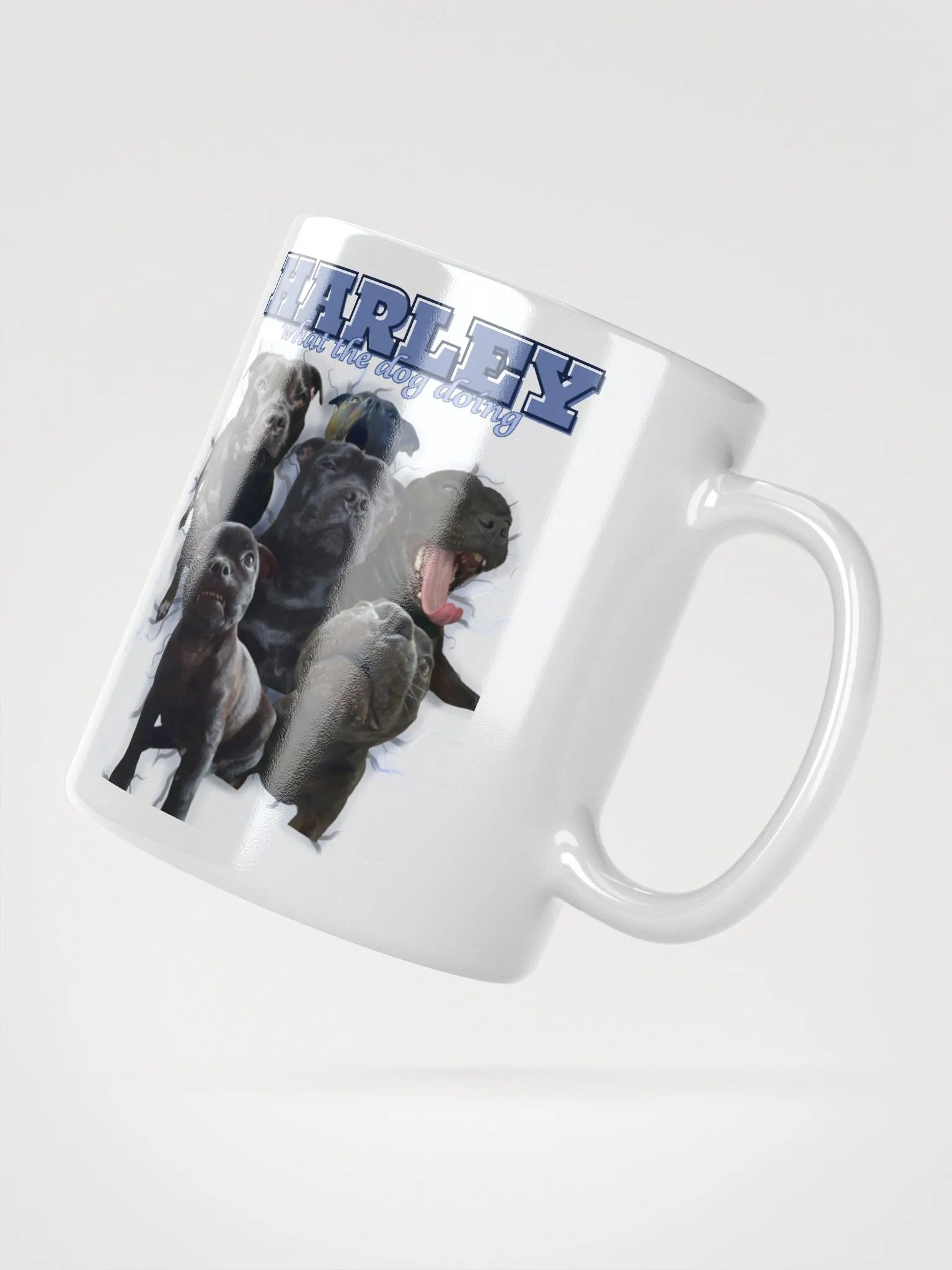 Harley's Mug Shot?! product image (2)