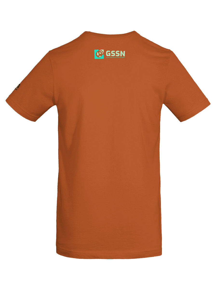 Premier Simulation Basketball - PSB Portland Rampage Logo T-Shirt product image (31)