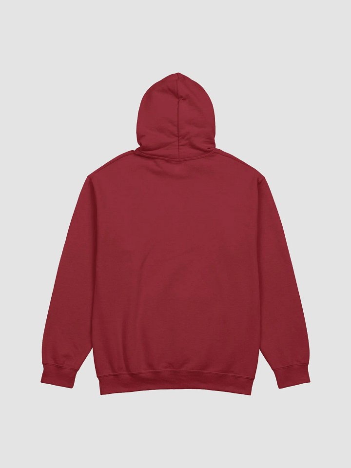 OSA Agent Undercover Hoodie (Limited 1) product image (2)