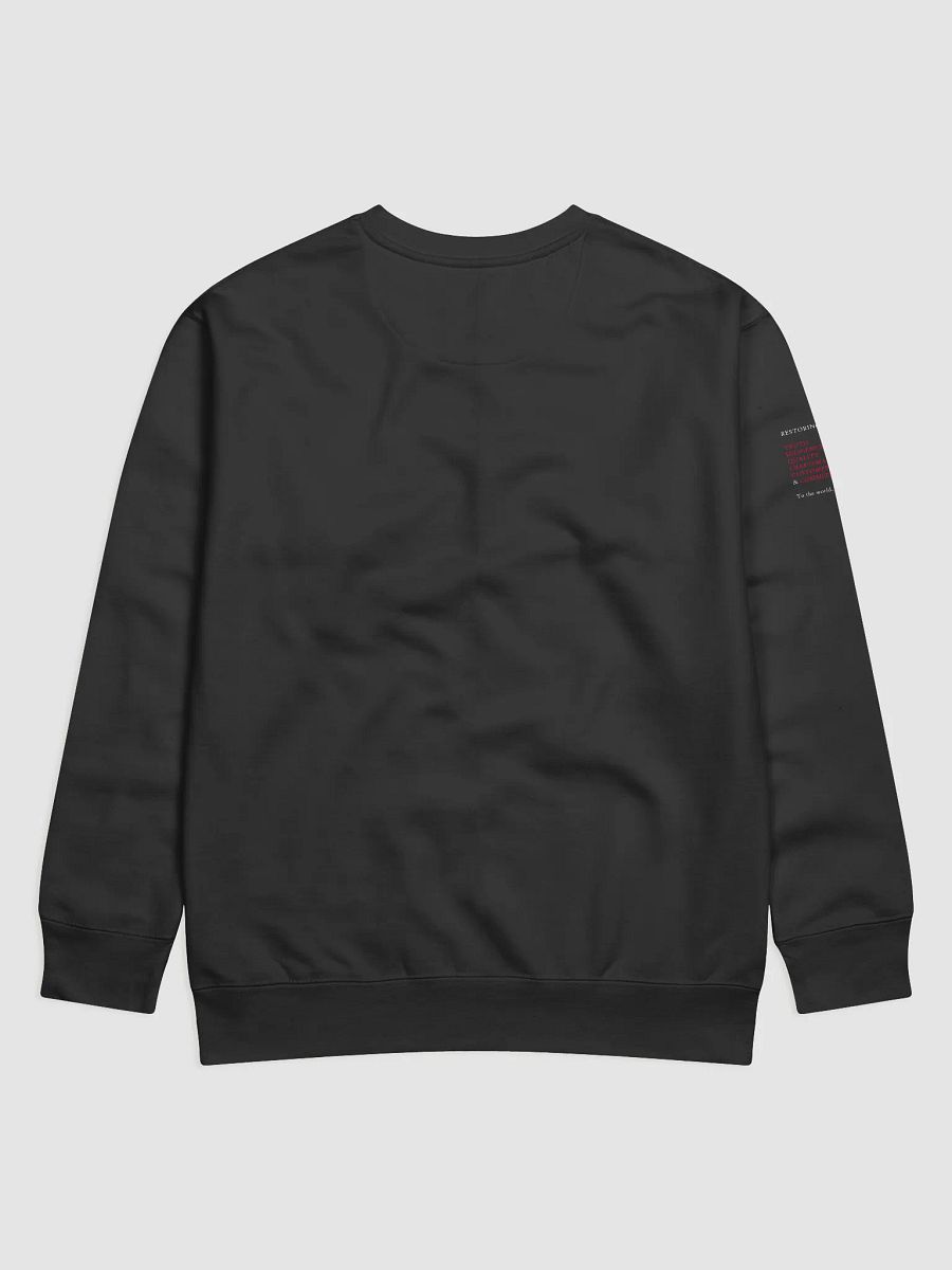SWEATER OF POWER product image (2)