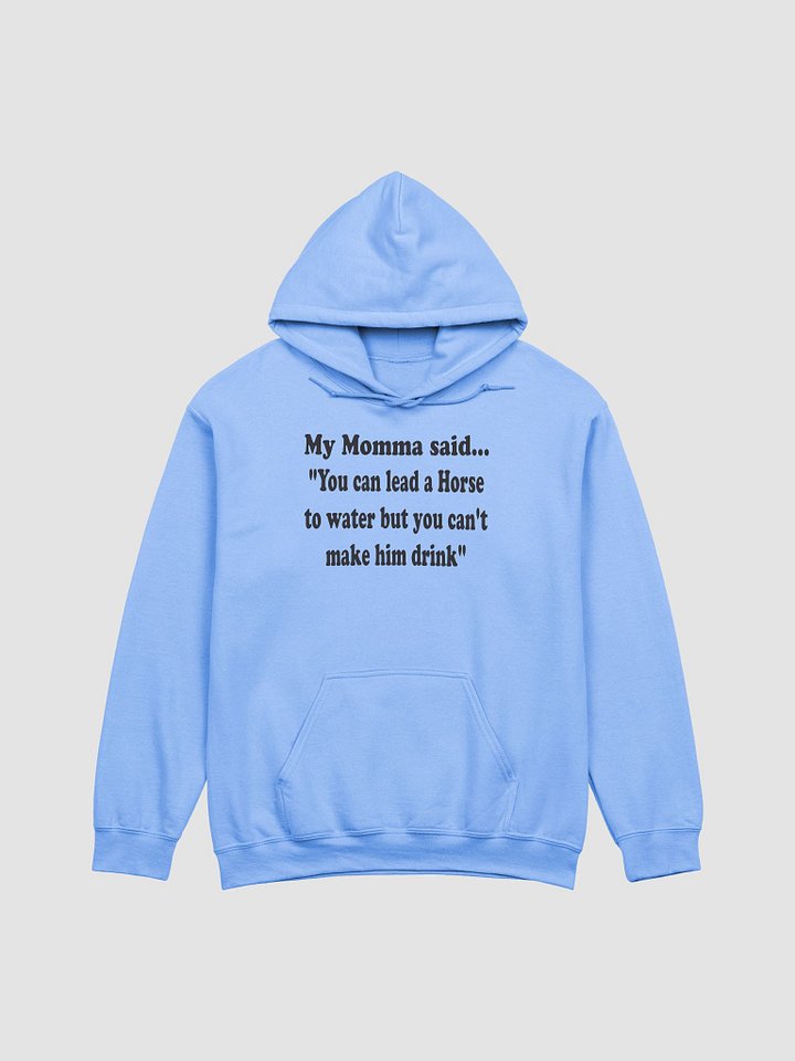 You Can Lead a Horse to Water but You Can’t Make Him Drink hoodie product image (9)