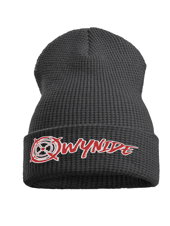 Represent Series Waffle Beanie - Qwynide product image (1)