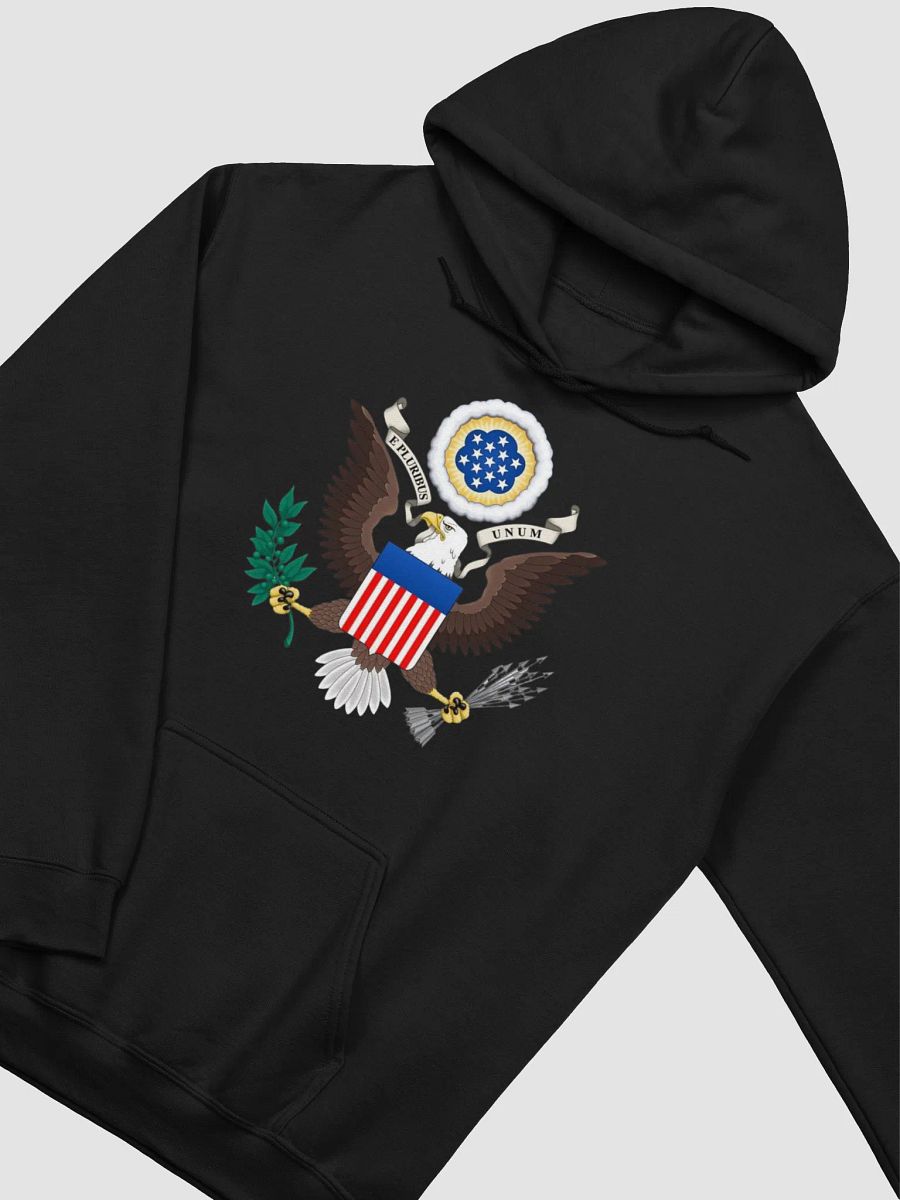 United States Hoodie product image (13)