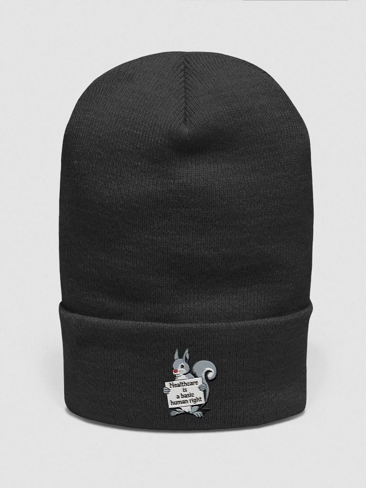 Pooky the Healthcare Advocate Beanie product image (1)