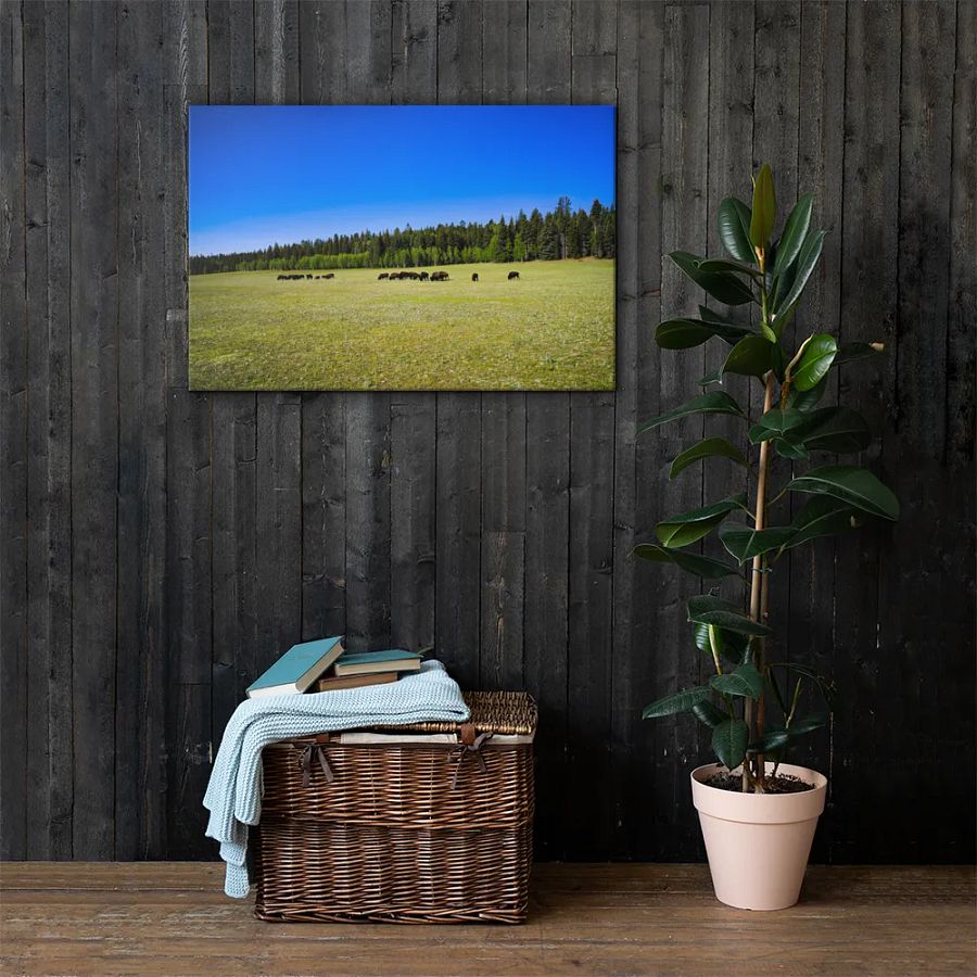 Grand Canyon Buffalo Graze product image (3)