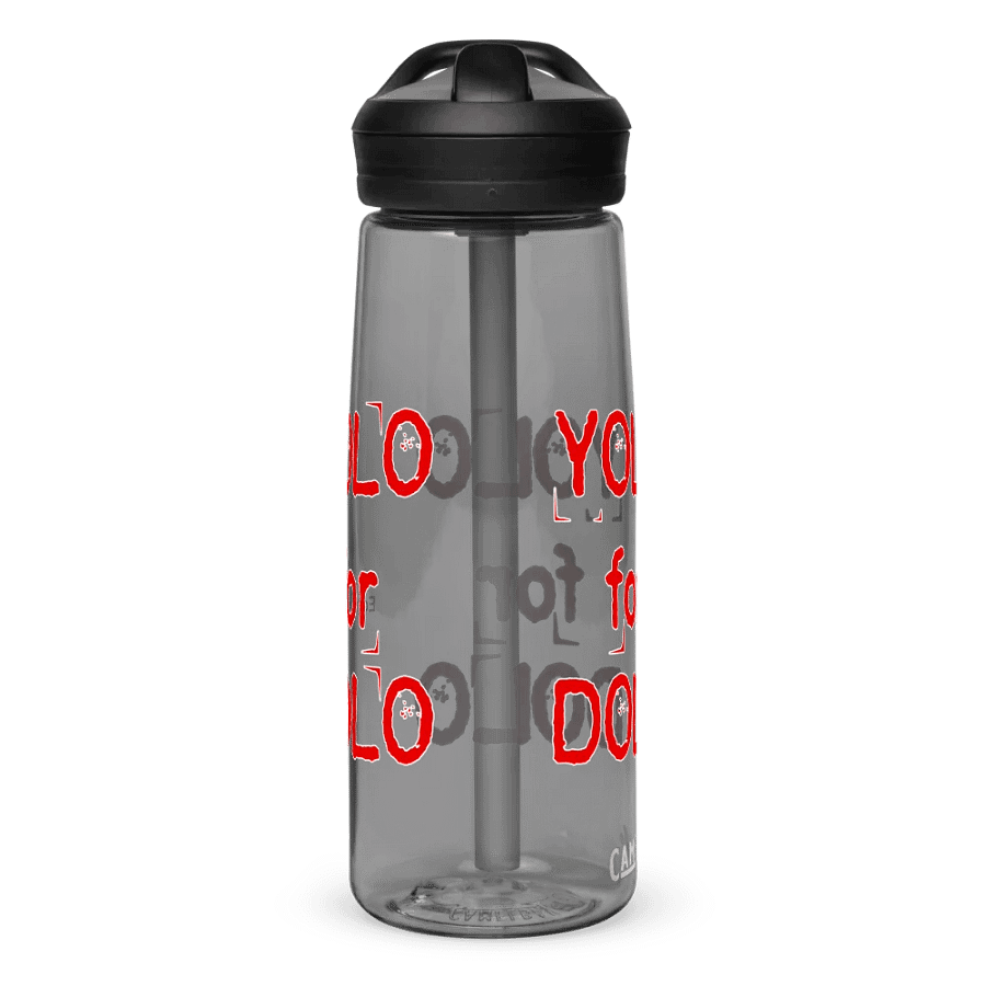 YOLO For DOLO - Camelbak Water Bottle product image (20)