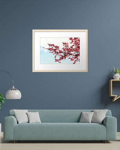 Blossoms In The Sky
Prints & products for sale!
Links below & in bio:
https://www.redbubble.com/shop/ap/172744506
https://www...
