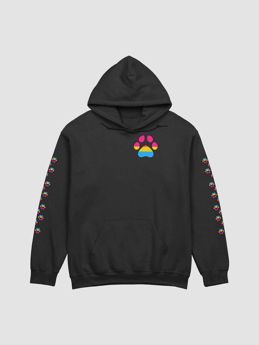 Pride Month Pullover-Pansexual Hoodie product image (6)