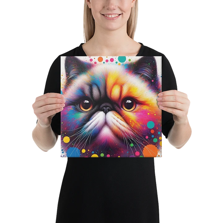 Canvas (in): Exotic Shorthair product image (1)