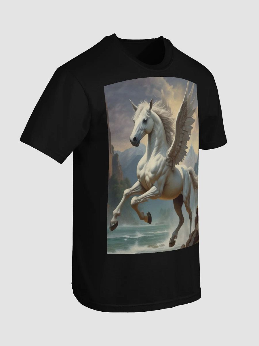 Pegasus product image (45)