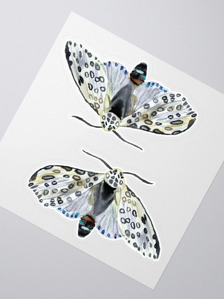 Giant Leopard Moth Sticker (x2) product image (2)