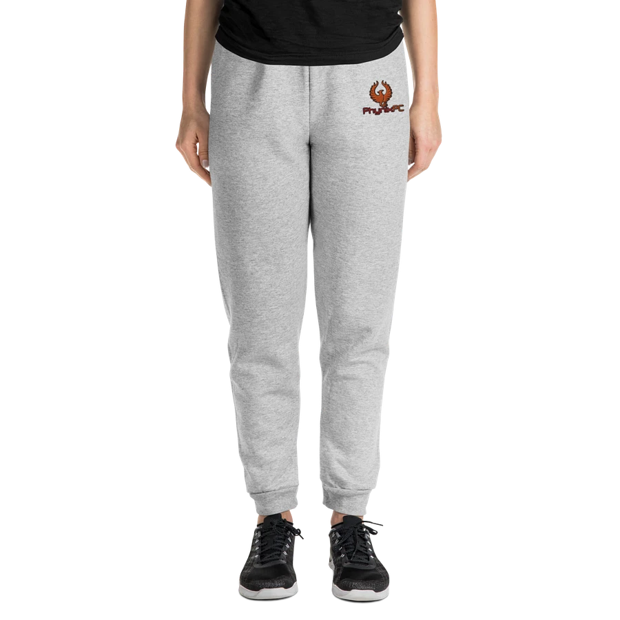 PhynixPC Embroidered Joggers product image (4)