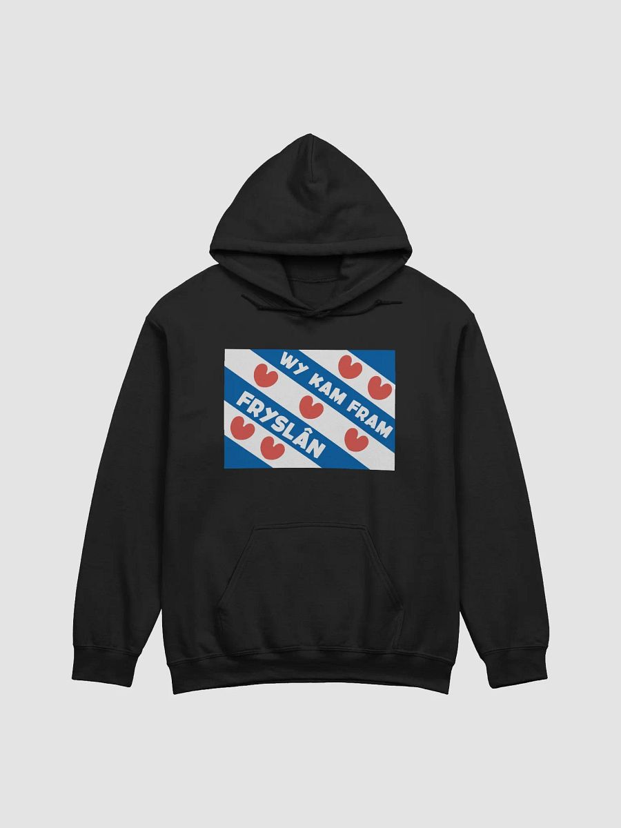 Wy Kam Fram Fryslân Flag - Hoodie (Black/Coloured) product image (37)