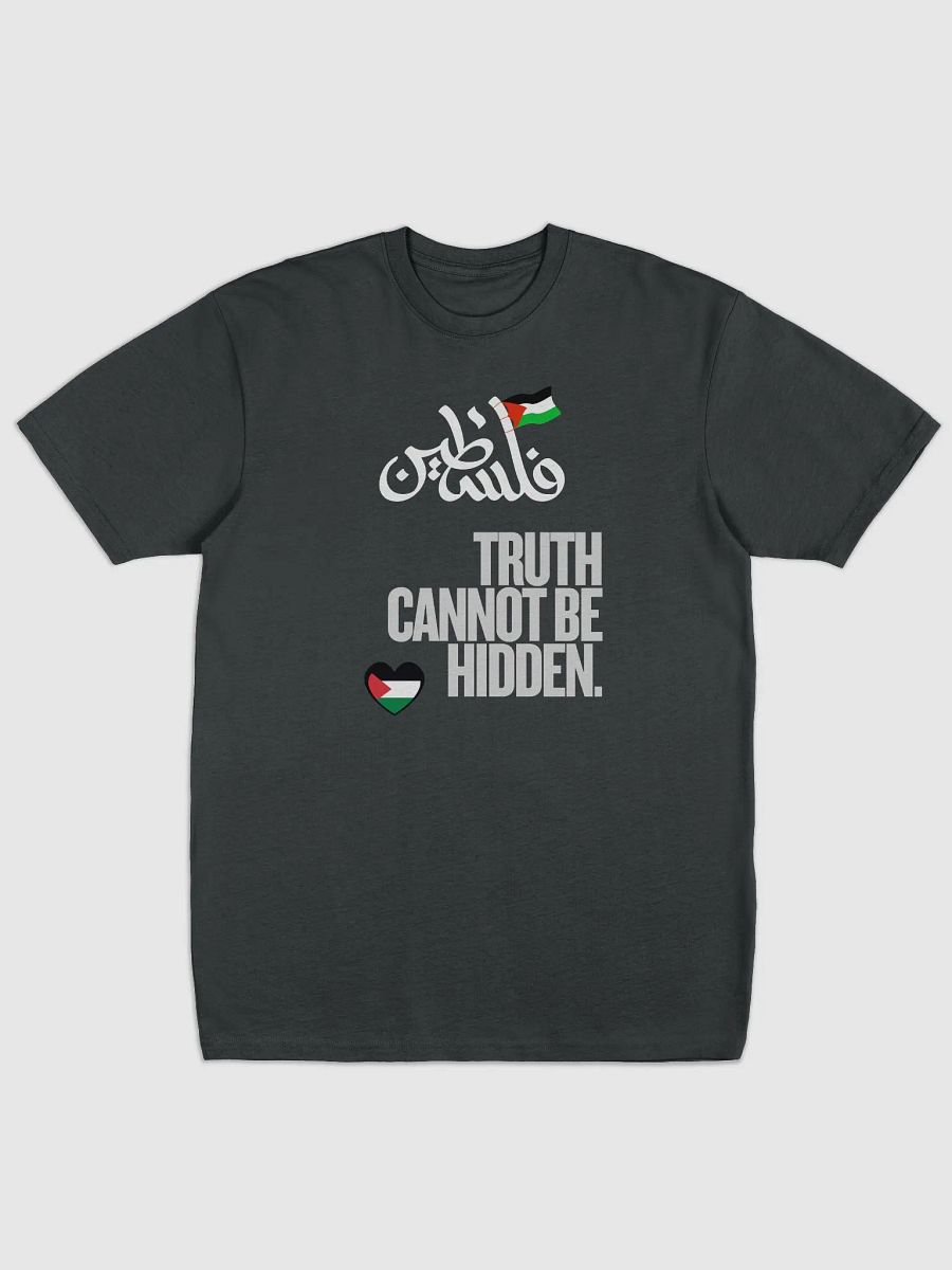 Palestinian Flag Fist Graphic Tee | Truth cannot be hidden. product image (2)