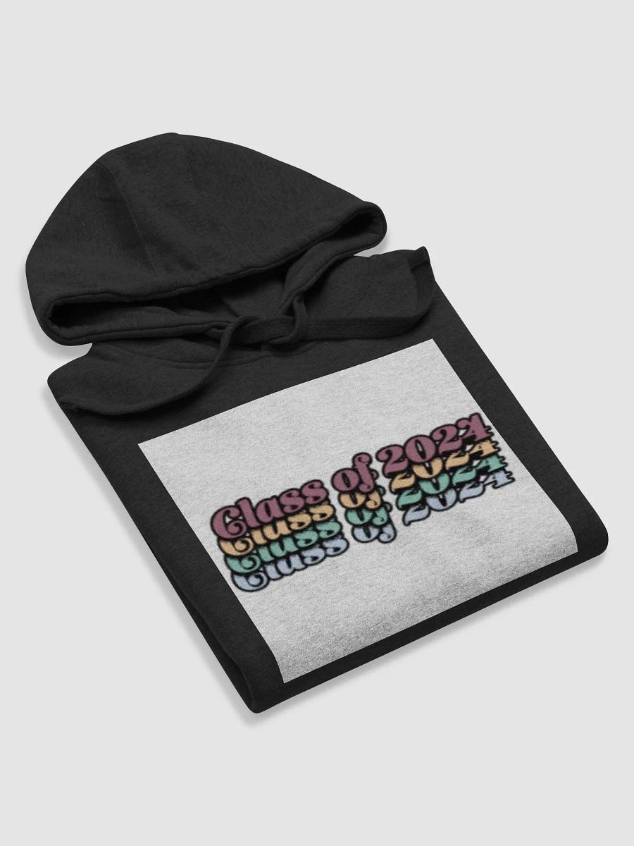 Class of 2024 Premium Unisex Hoodie product image (5)