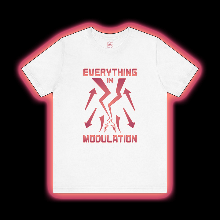 Everything In Modulation - Make Noise Maths Modular Synthesizer T-Shirt (FLAME PRINT) product image (1)