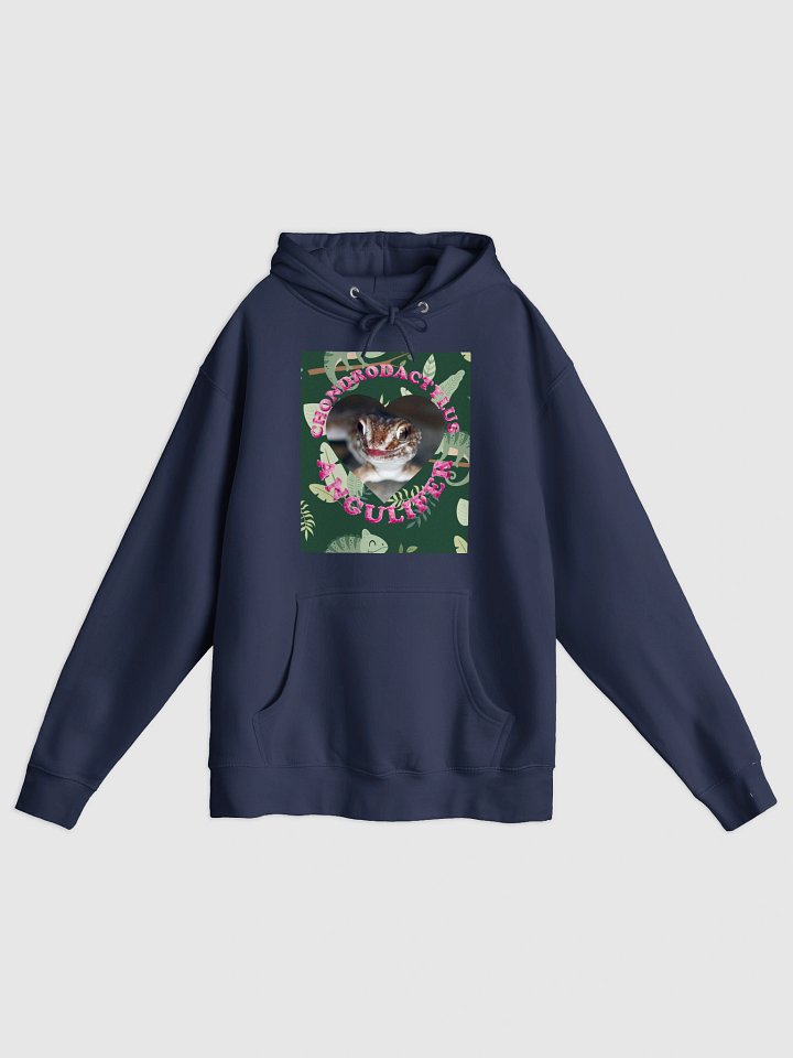 Ground Gecko Summer 6 Hoodie product image (5)
