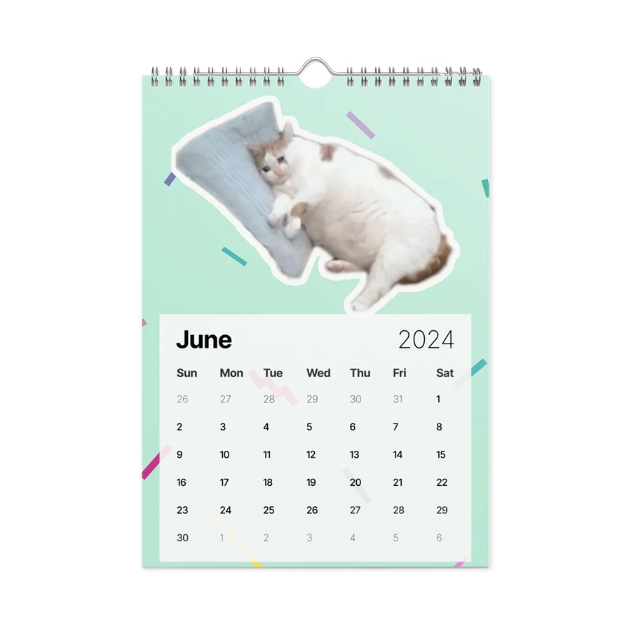 Wall Calendar (2024): Meme Cats product image (12)