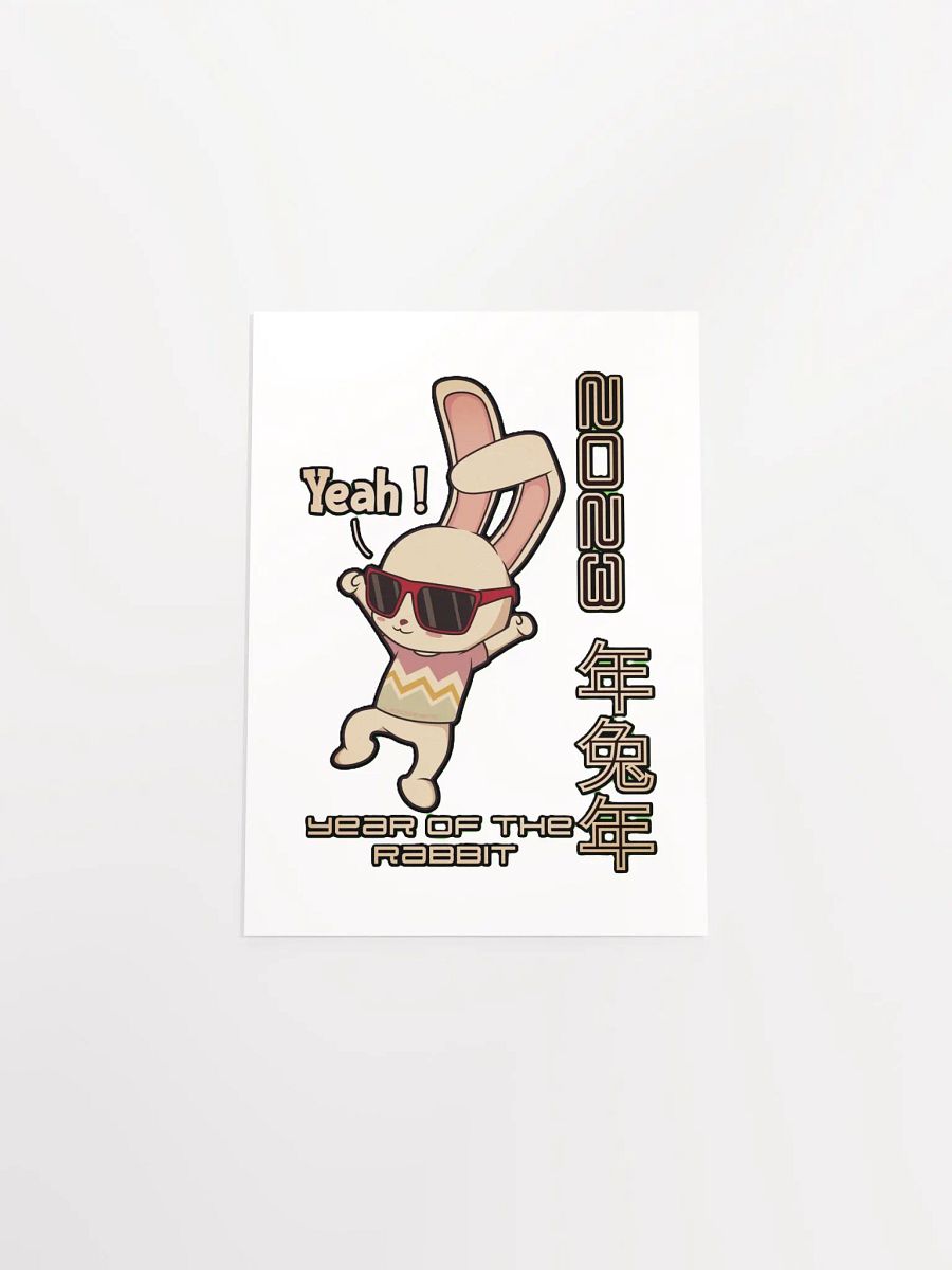 2023 YEAR OF THE RABBIT product image (4)