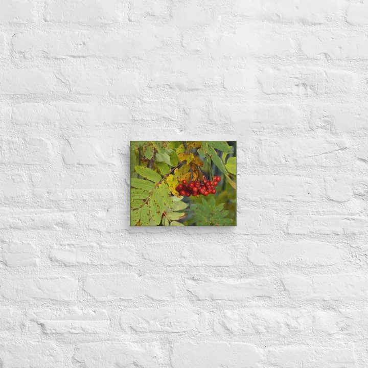 Canvas: Rönnbär Autumn berries product image (27)