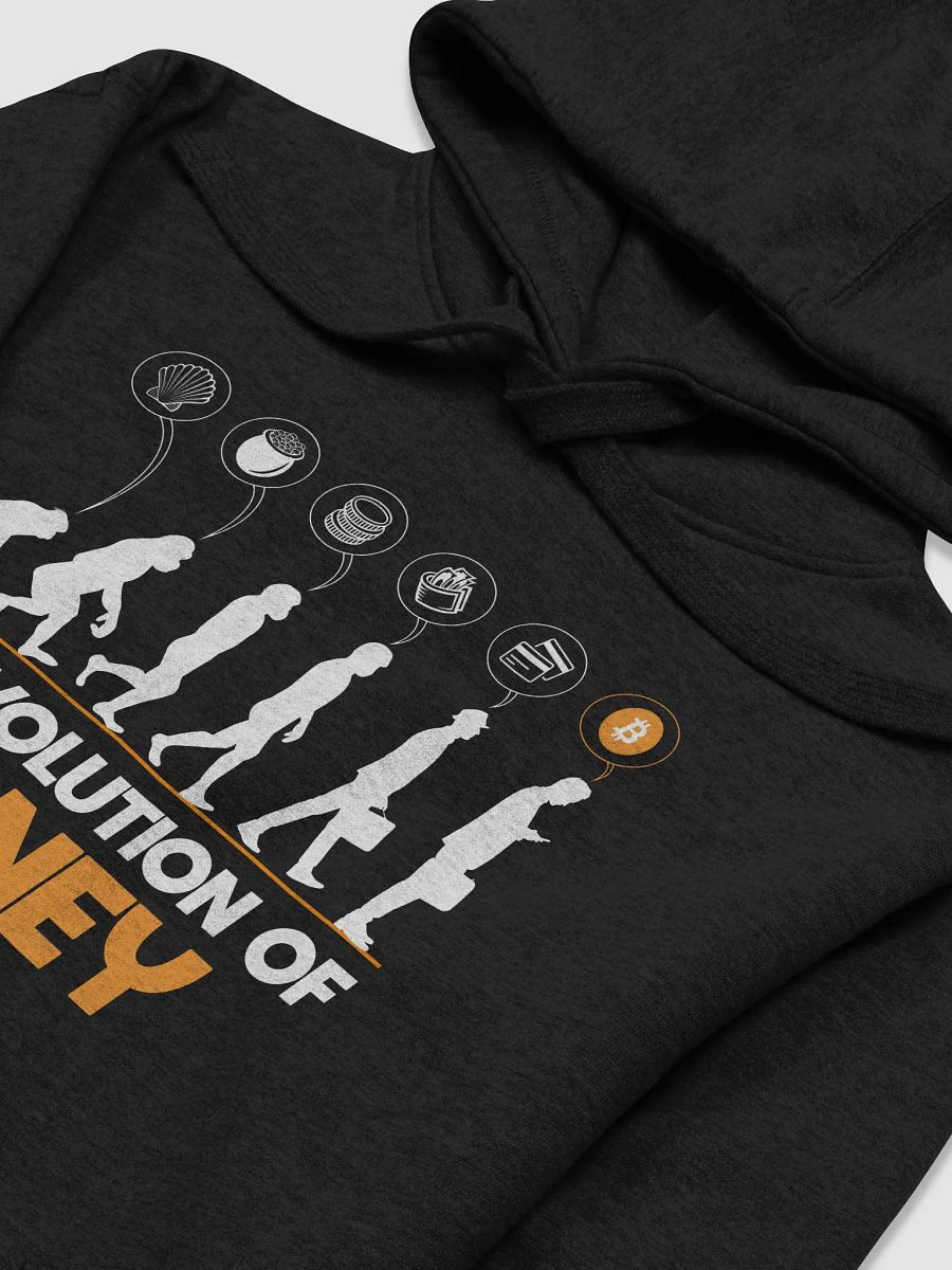 EVOLUTION OF MONEY product image (1)