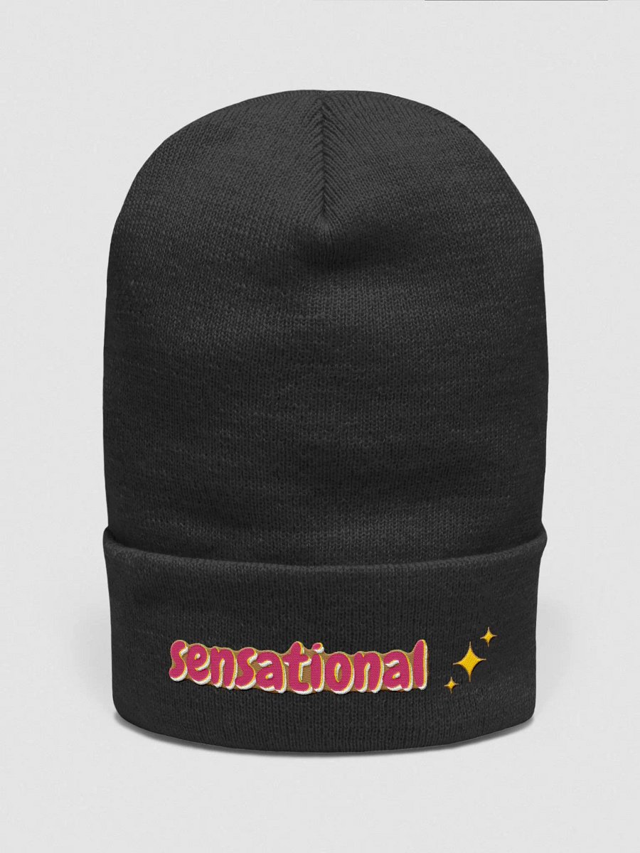 Sensational Beanie product image (1)