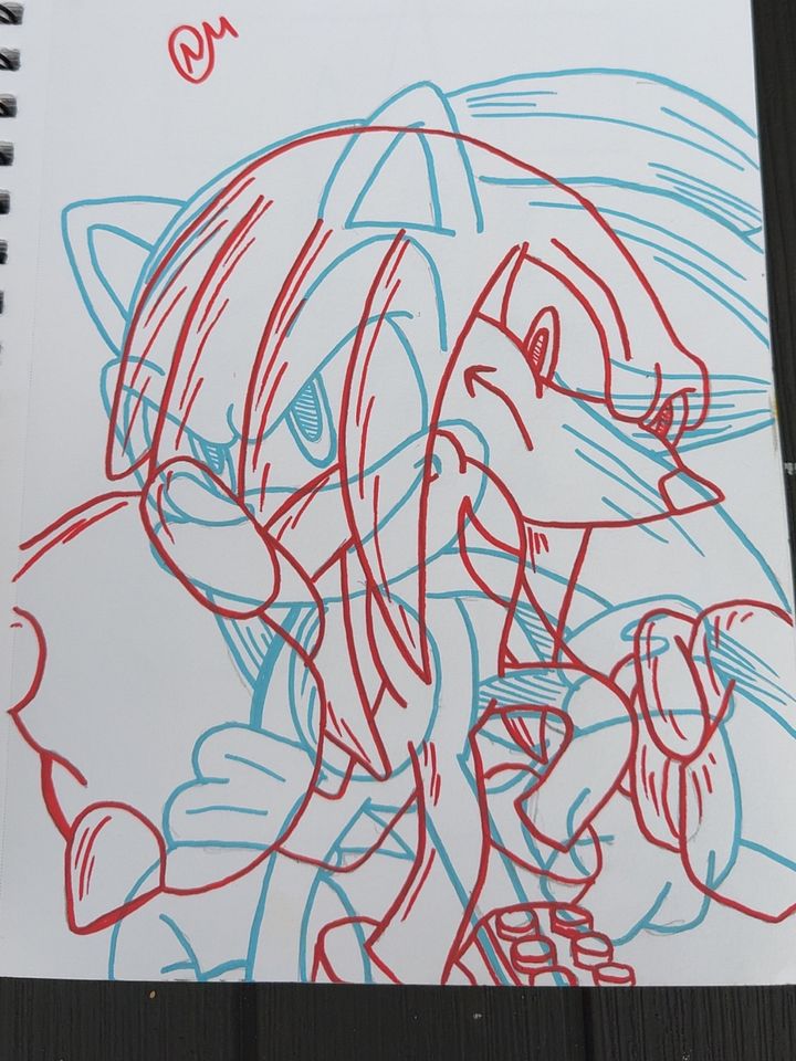 Sonic and shadow product image (1)