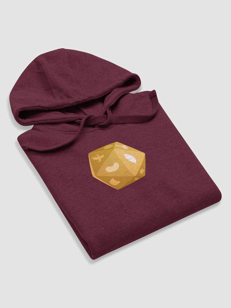 b20 - Sizzled Hoodie product image (6)