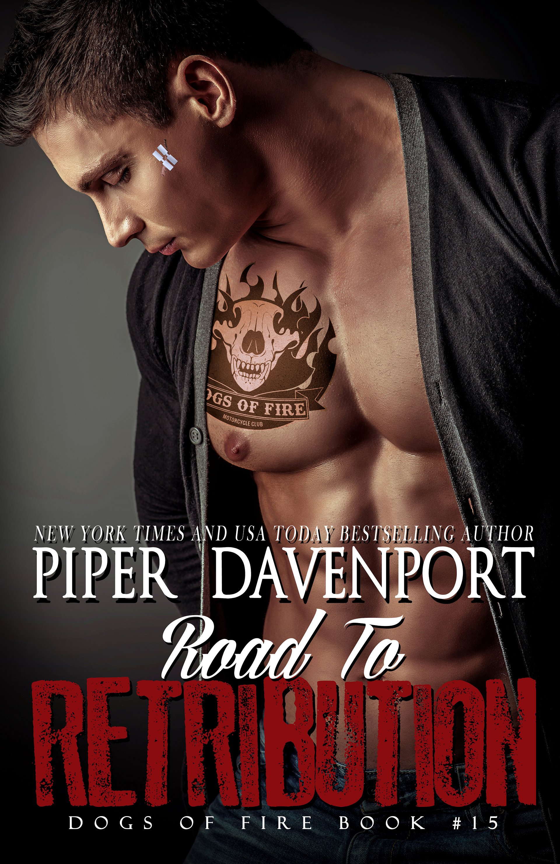 Road to Retribution, Dogs of Fire MC Series, Book #15 - eBook product image (1)