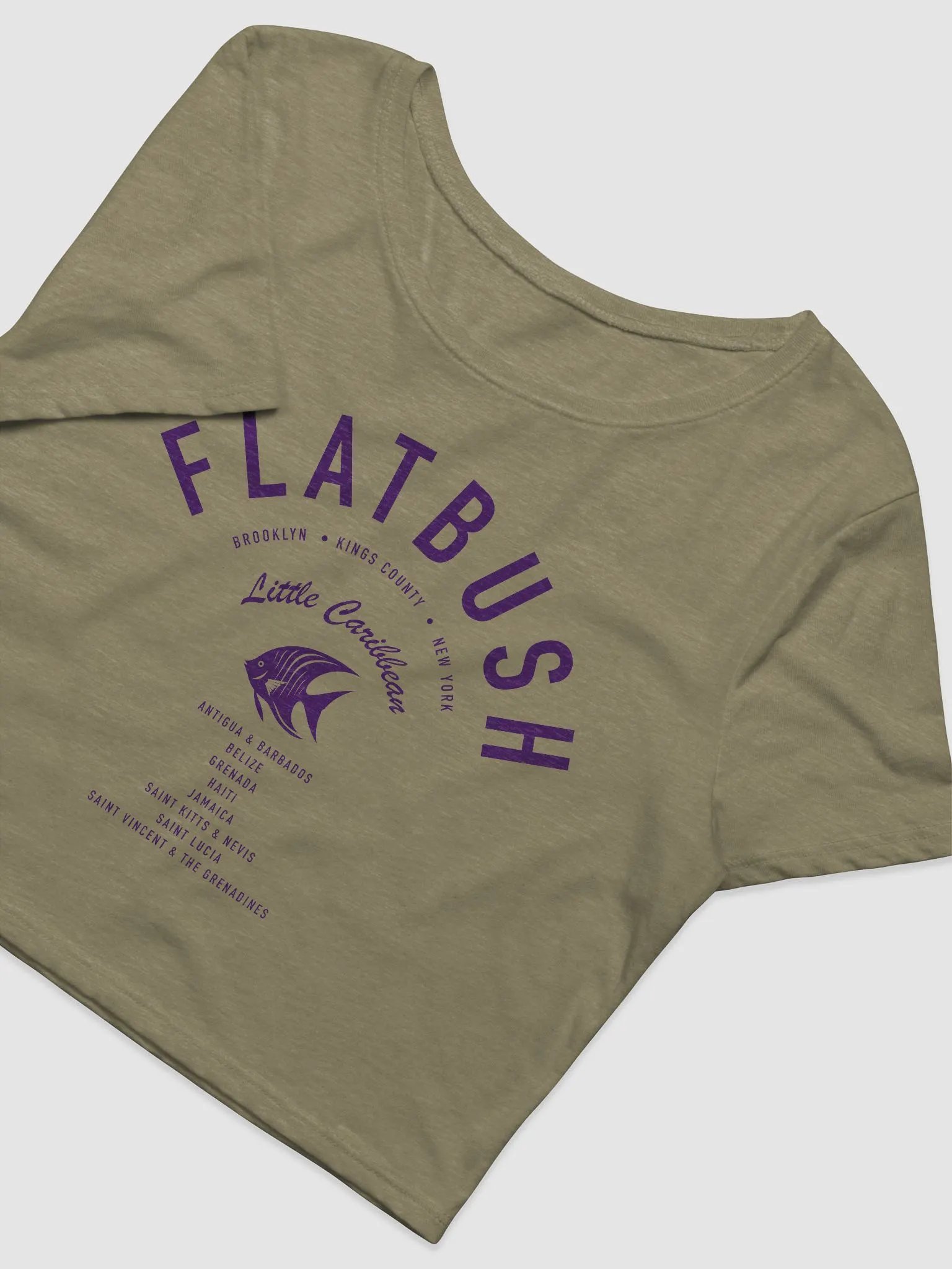 Flatbush Little Caribbean Crop top product image (3)