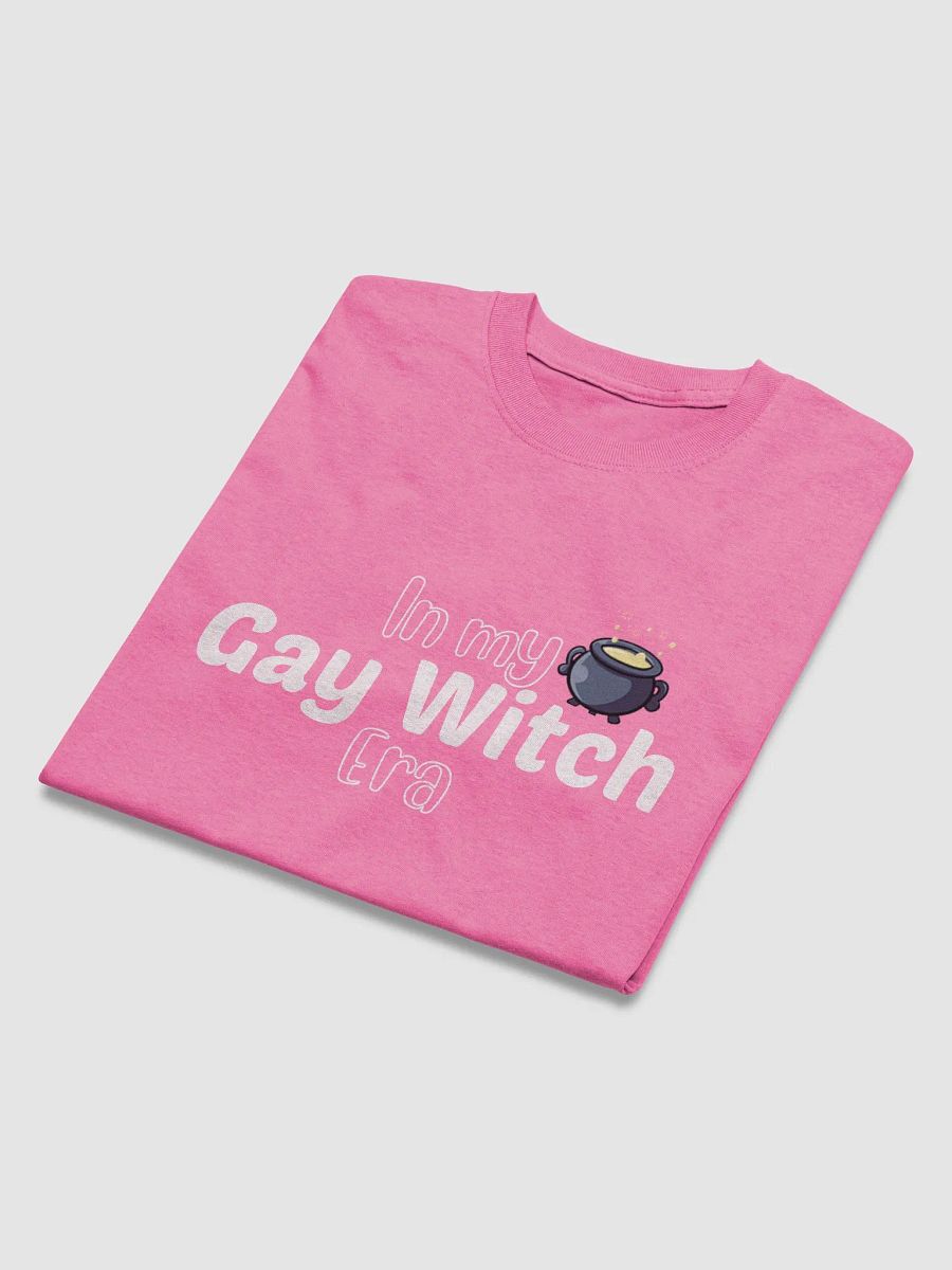 Gay Witch Era product image (4)
