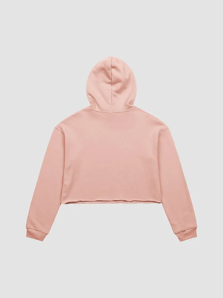 Crop Hoodie - POLO product image (2)
