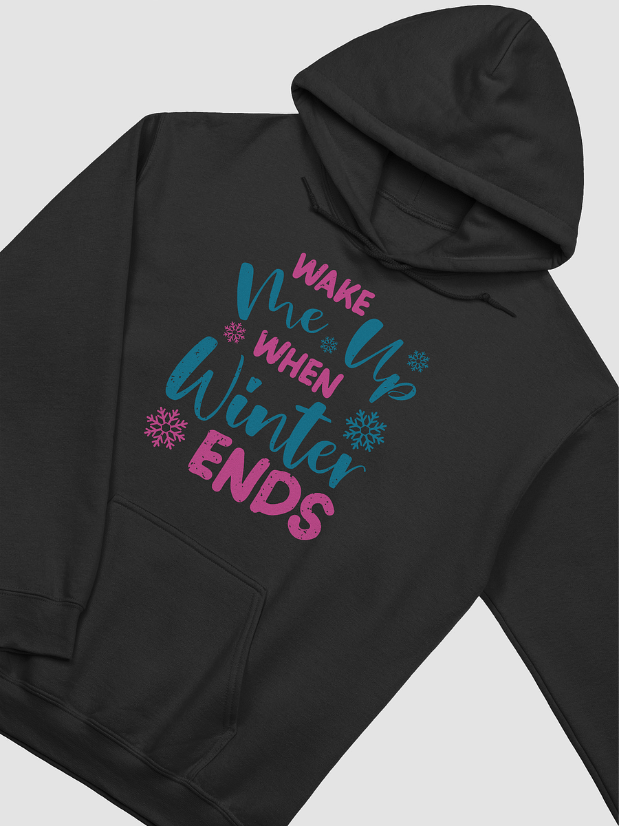 Wake Me Up When Winter Ends Hoodie product image (3)