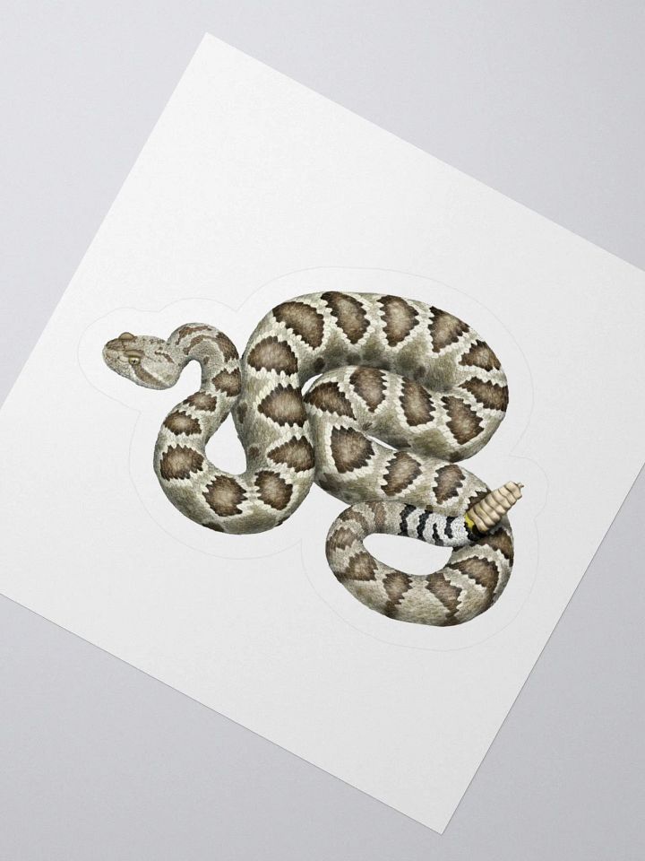 Die-Cut Sticker – Mojave Rattlesnake product image (2)