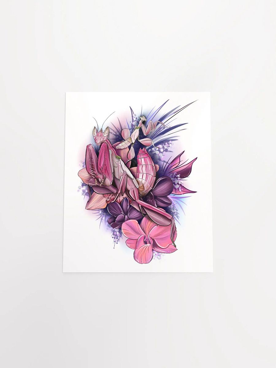 Hymenopus coronatus Poster product image (11)
