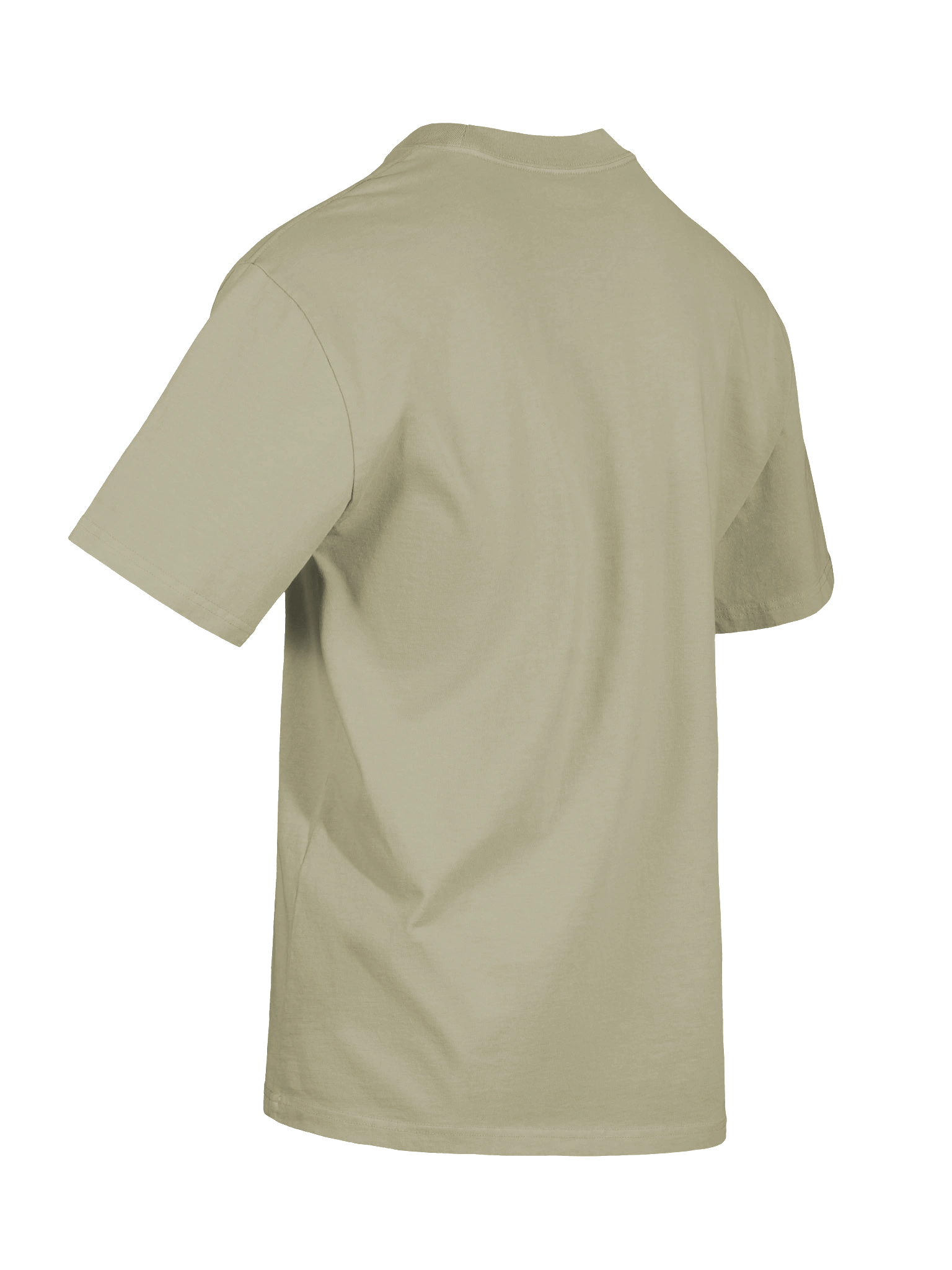 Verdant Venom: Poison Ivy Beware My Embrace Oversized Faded T-Shirt product image (9)