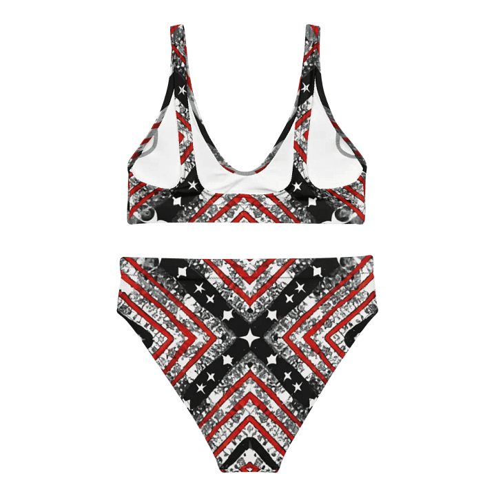 Black/Silver and Stripes Bikini product image (2)